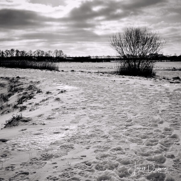 beek en donk in de sneeuw.  ( foto: Joost Duppen )